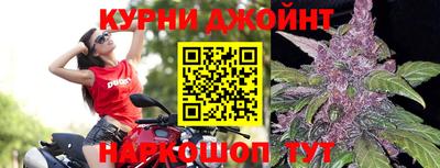 крисы Кунгур